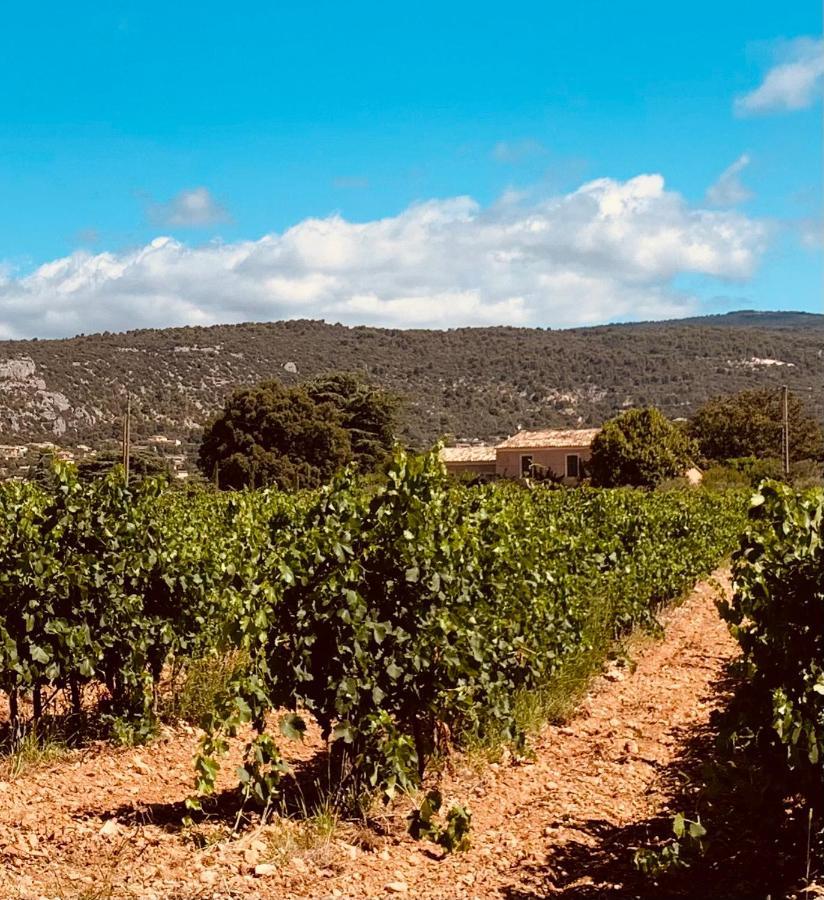 Bed and Breakfast Le Vieux Portail Saint-Saturnin-lès-Apt Esterno foto