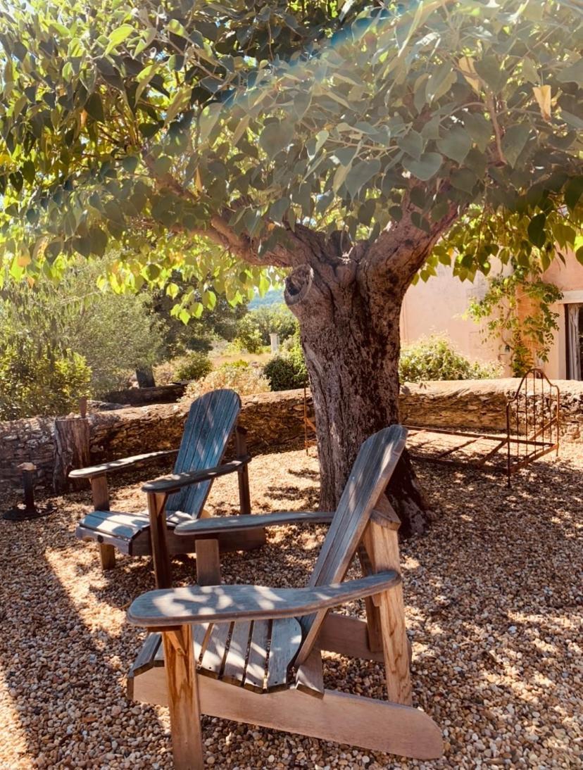 Bed and Breakfast Le Vieux Portail Saint-Saturnin-lès-Apt Esterno foto