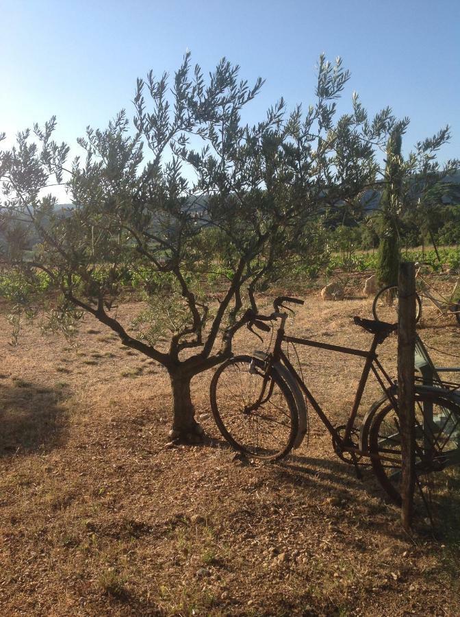 Bed and Breakfast Le Vieux Portail Saint-Saturnin-lès-Apt Esterno foto
