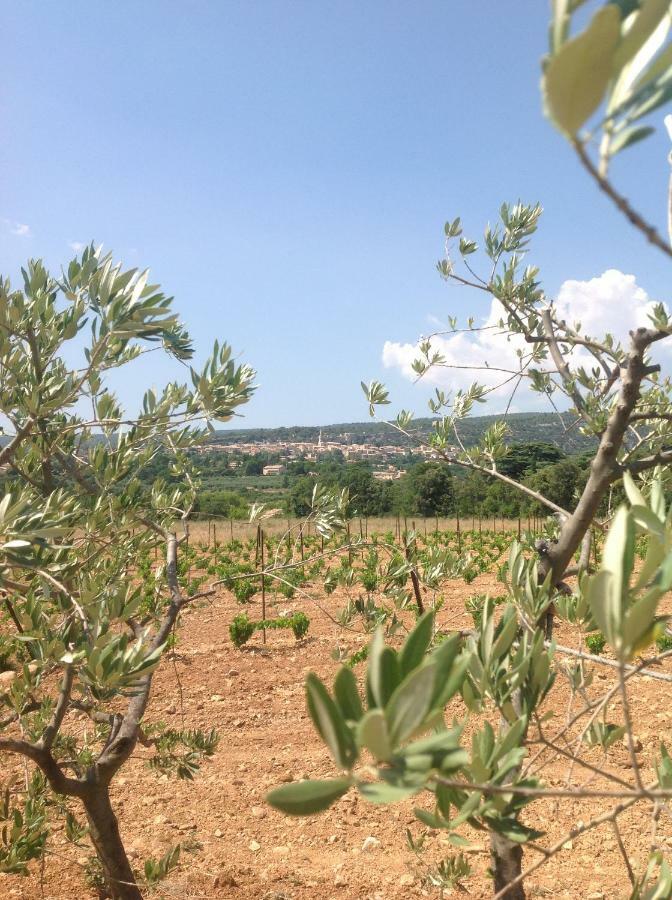 Bed and Breakfast Le Vieux Portail Saint-Saturnin-lès-Apt Esterno foto